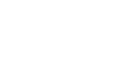 SEDAN icon